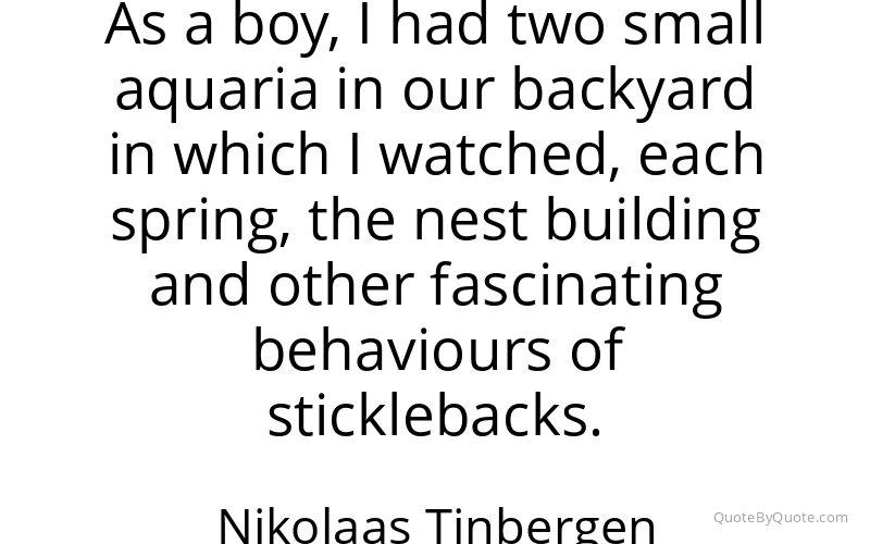 Preview image for this quote by Nikolaas Tinbergen