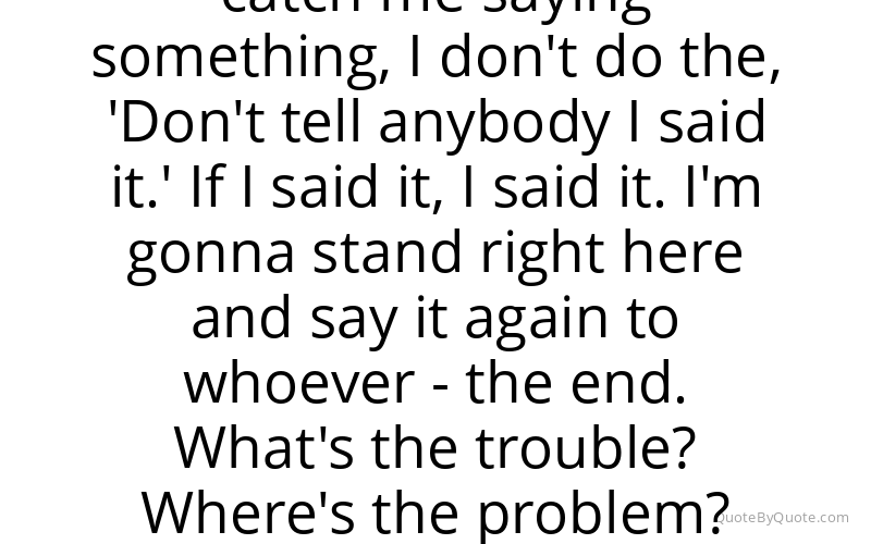 Preview image for this quote by No I.D.