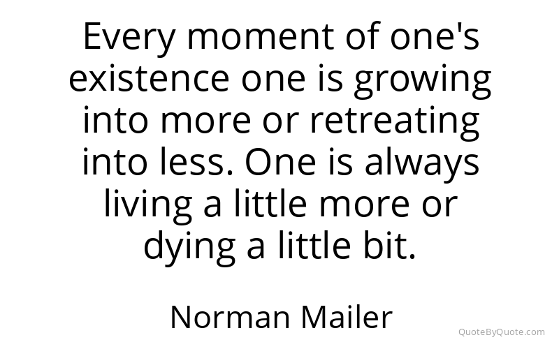 Preview image for this quote by Norman Mailer
