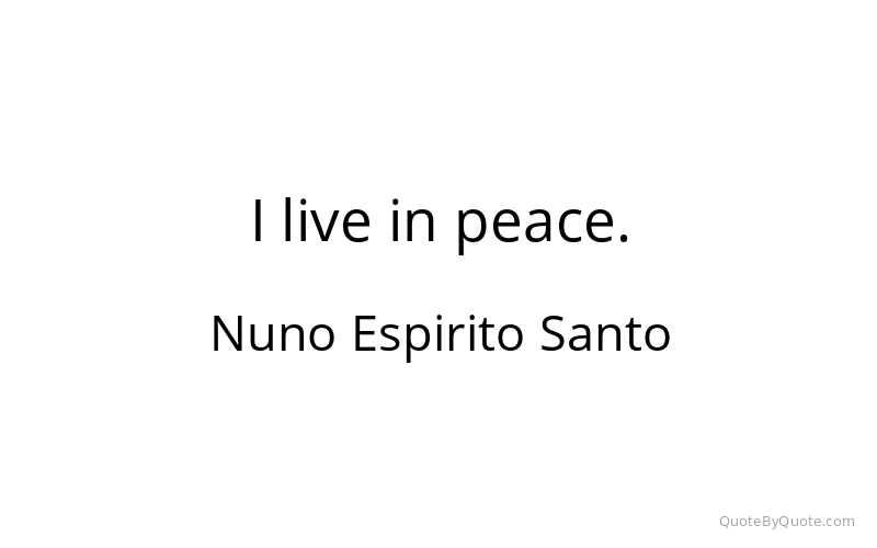 Preview image for this quote by Nuno Espirito Santo