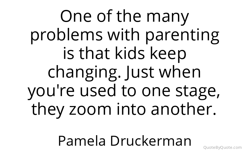 Preview image for this quote by Pamela Druckerman