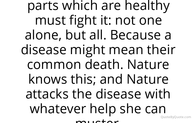 Preview image for this quote by Paracelsus