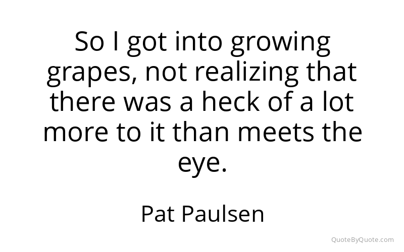 Preview image for this quote by Pat Paulsen
