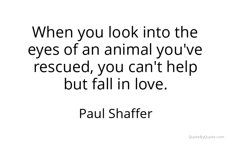 Preview image for this quote by Paul Shaffer