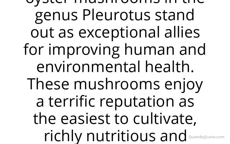 Preview image for this quote by Paul Stamets