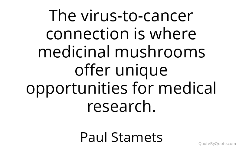 Preview image for this quote by Paul Stamets