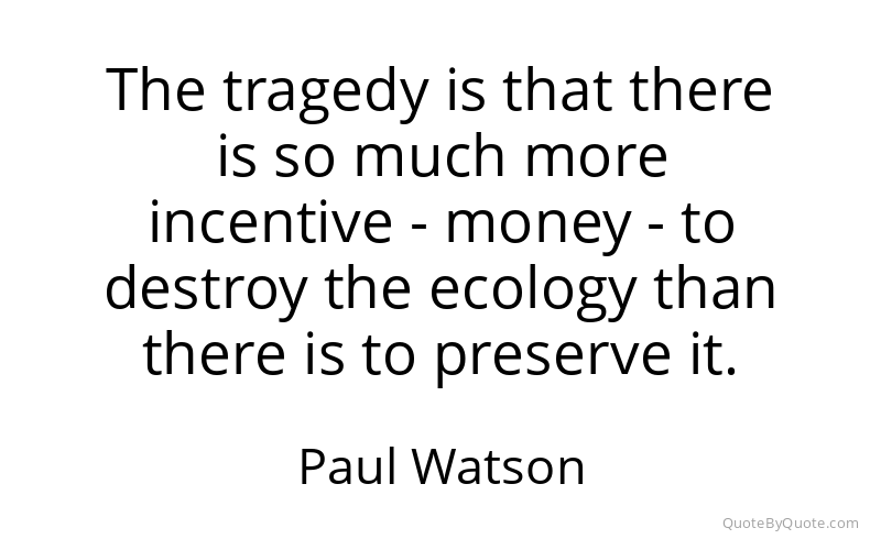 Preview image for this quote by Paul Watson