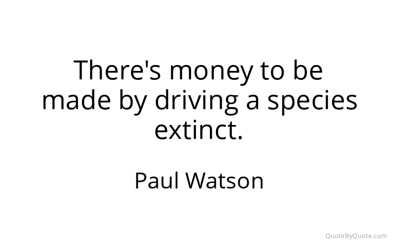 Preview image for this quote by Paul Watson