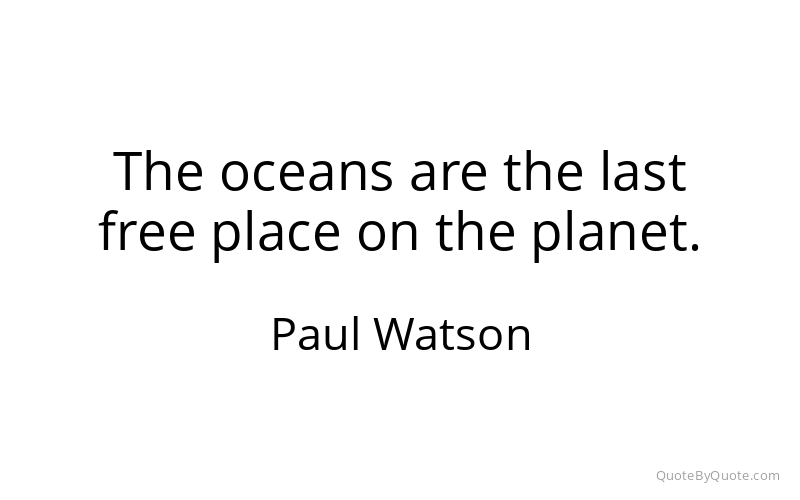 Preview image for this quote by Paul Watson