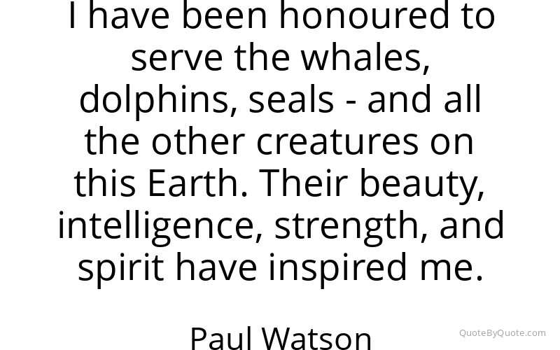 Preview image for this quote by Paul Watson