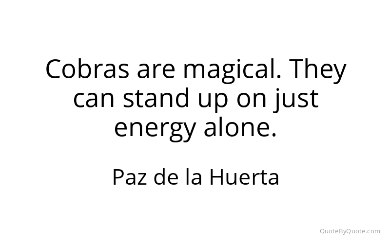 Preview image for this quote by Paz de la Huerta