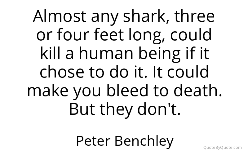Preview image for this quote by Peter Benchley