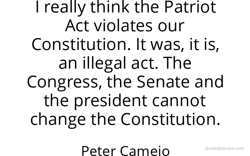 Preview image for this quote by Peter Camejo