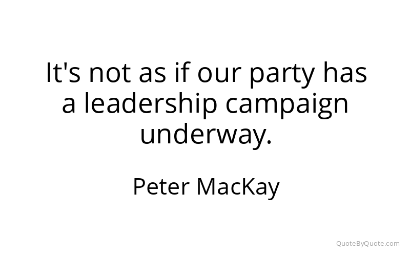 Preview image for this quote by Peter MacKay