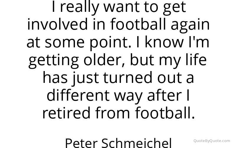 Preview image for this quote by Peter Schmeichel