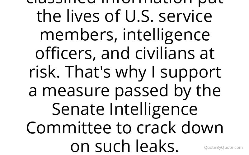 Preview image for this quote by Peter T. King
