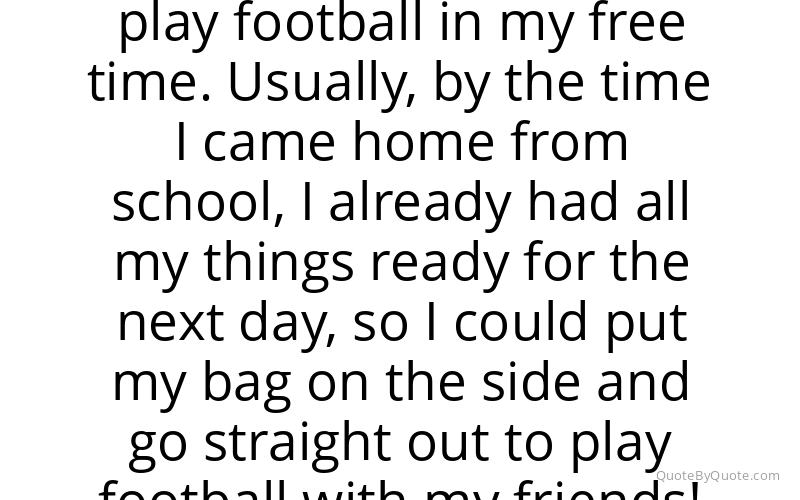 Preview image for this quote by Petr Cech