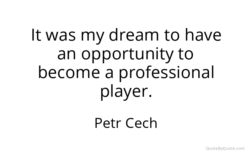 Preview image for this quote by Petr Cech
