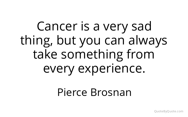 Preview image for this quote by Pierce Brosnan