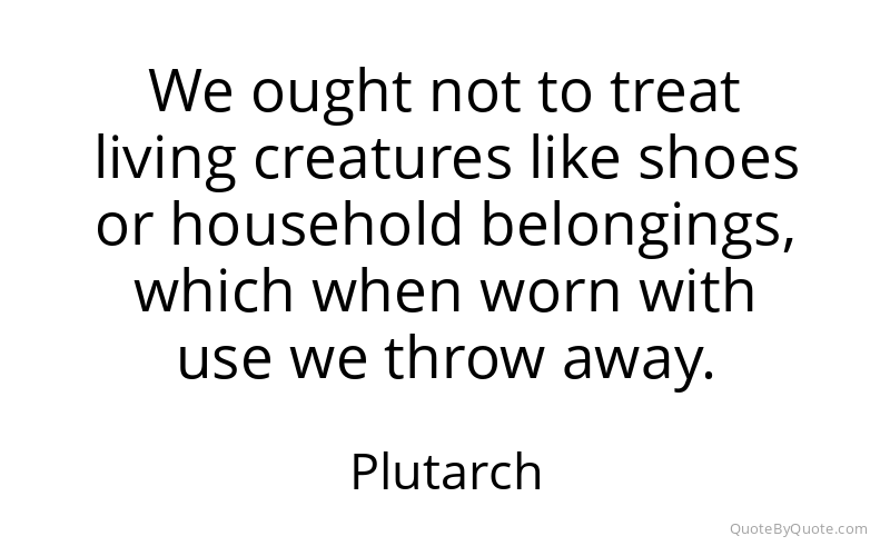 Preview image for this quote by Plutarch