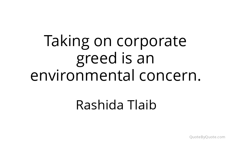 Preview image for this quote by Rashida Tlaib