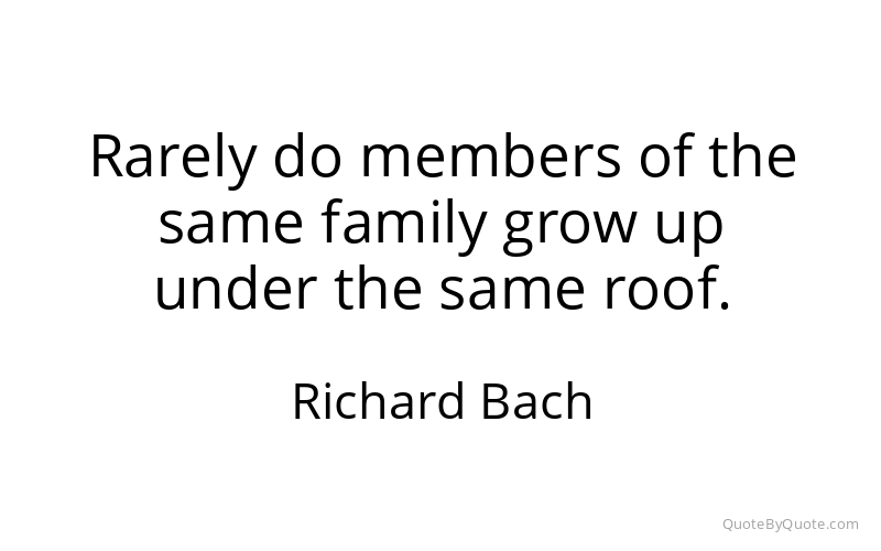 Preview image for this quote by Richard Bach