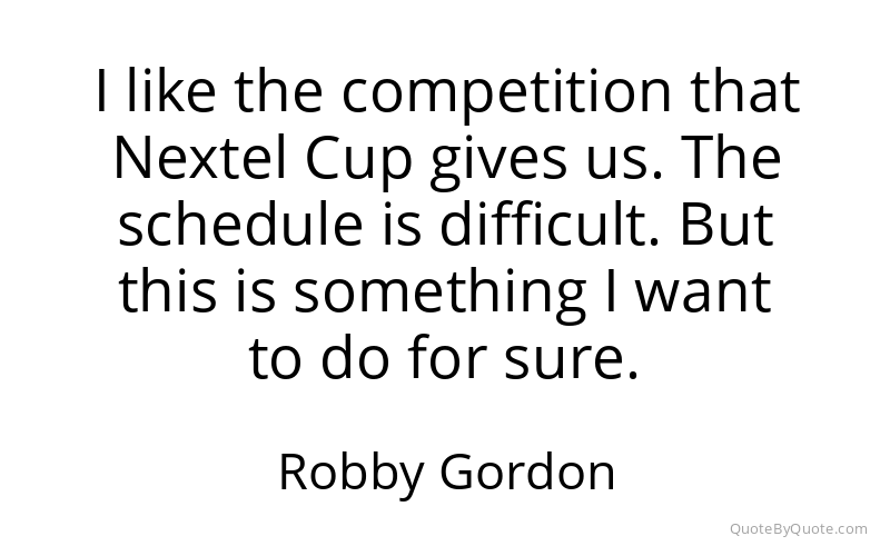 Preview image for this quote by Robby Gordon