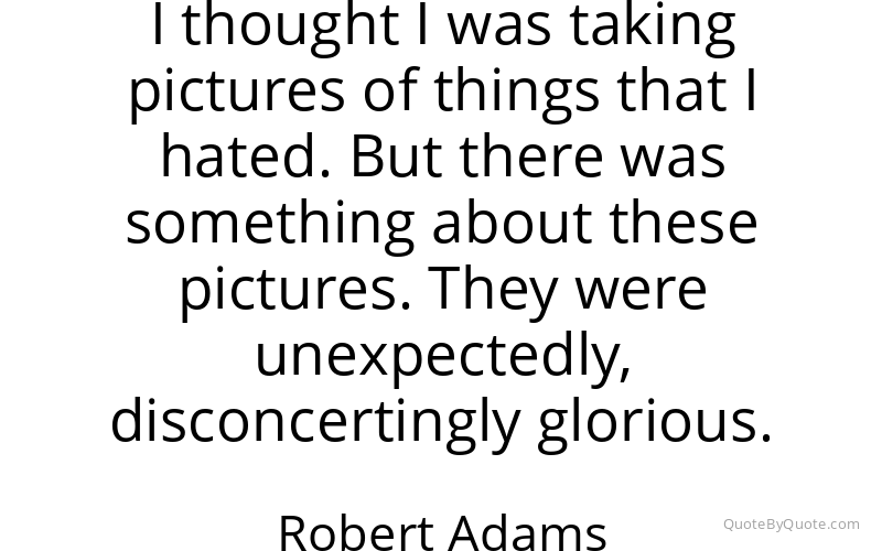 Preview image for this quote by Robert Adams
