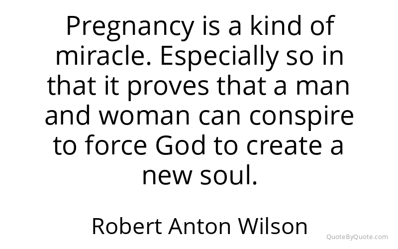 Preview image for this quote by Robert Anton Wilson