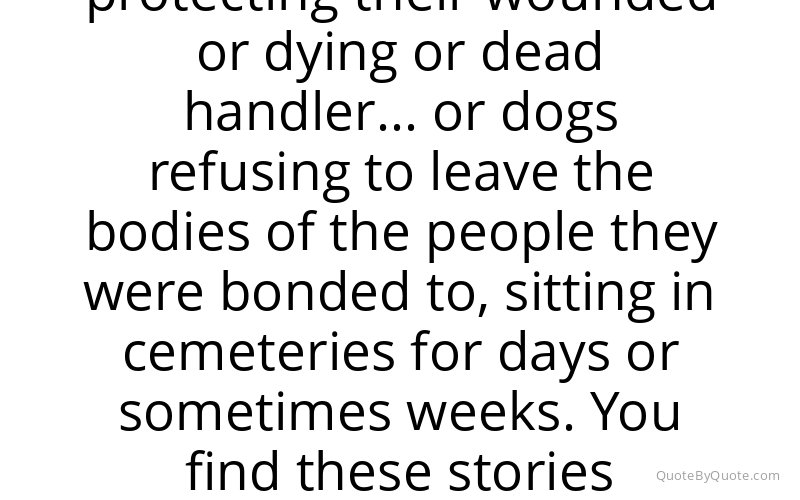 Preview image for this quote by Robert Crais