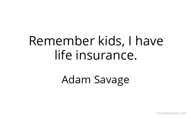 Preview image for this quote by Adam Savage