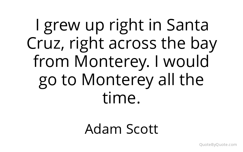 Preview image for this quote by Adam Scott