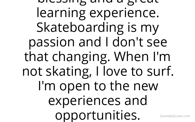 Preview image for this quote by Ryan Sheckler