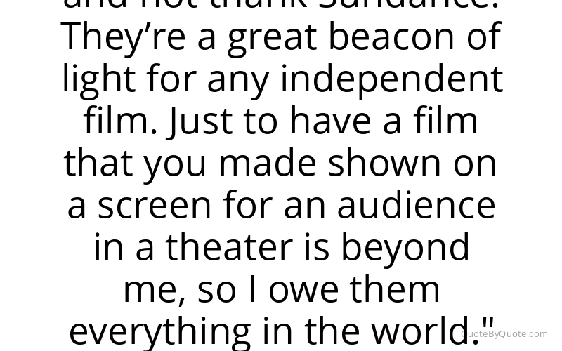 Preview image for this quote by Sam Levinson