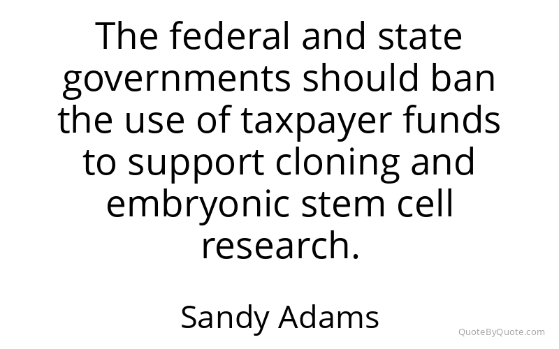 Preview image for this quote by Sandy Adams