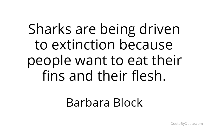 Preview image for this quote by Barbara Block