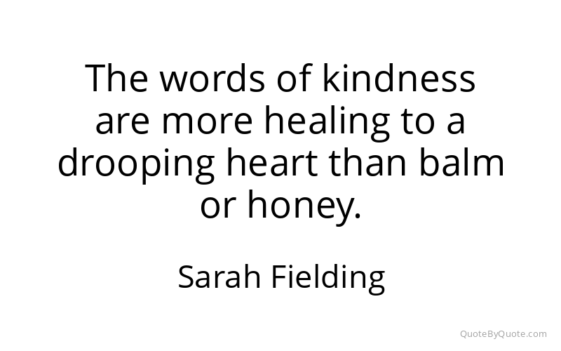 Preview image for this quote by Sarah Fielding