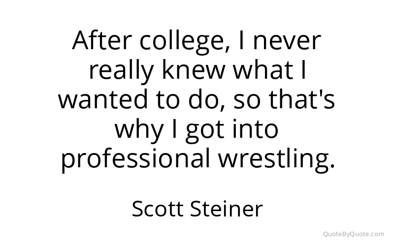 Preview image for this quote by Scott Steiner