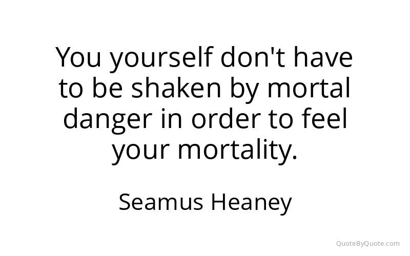 Preview image for this quote by Seamus Heaney