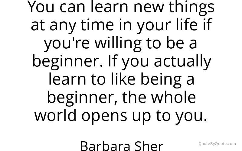Preview image for this quote by Barbara Sher