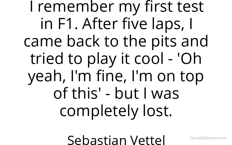 Preview image for this quote by Sebastian Vettel