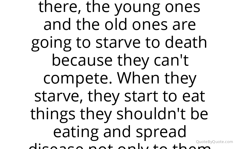 Preview image for this quote by Shawn Michaels