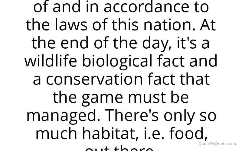 Preview image for this quote by Shawn Michaels