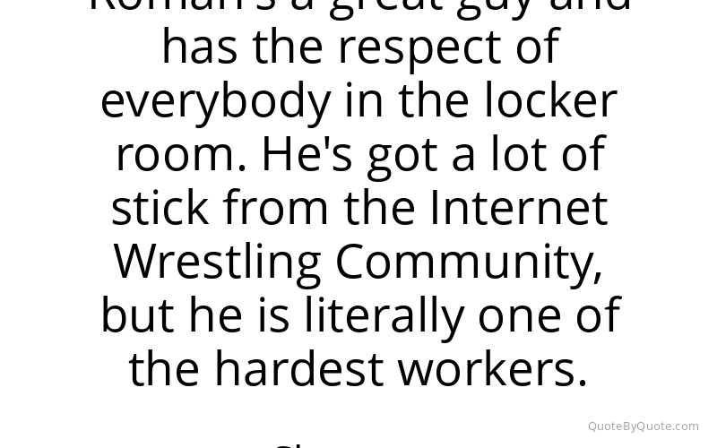 Preview image for this quote by Sheamus