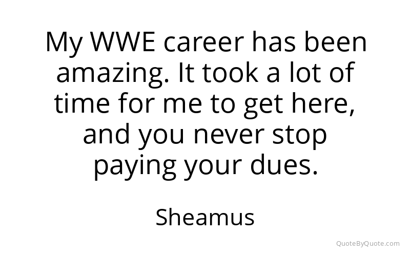 Preview image for this quote by Sheamus