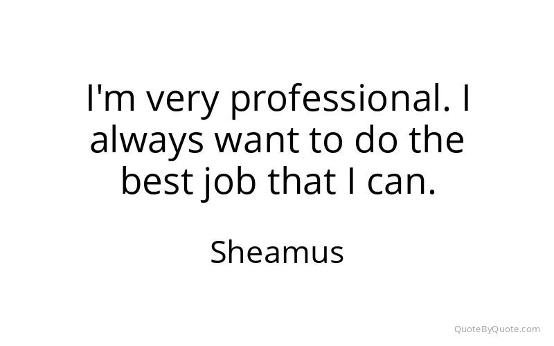 Preview image for this quote by Sheamus