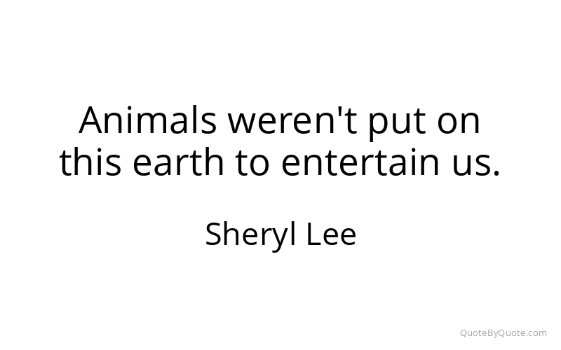 Preview image for this quote by Sheryl Lee