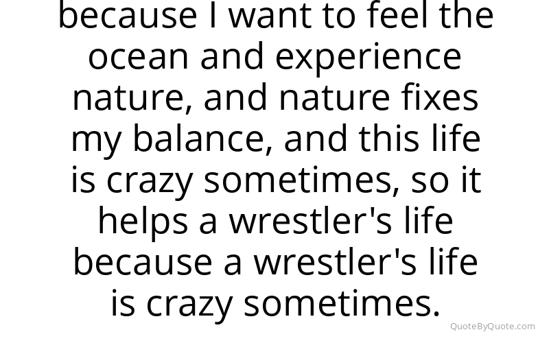 Preview image for this quote by Shinsuke Nakamura