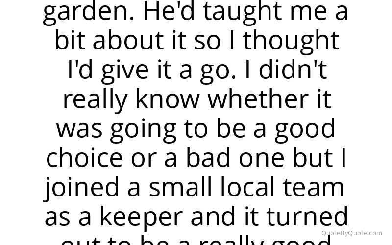 Preview image for this quote by Simon Mignolet