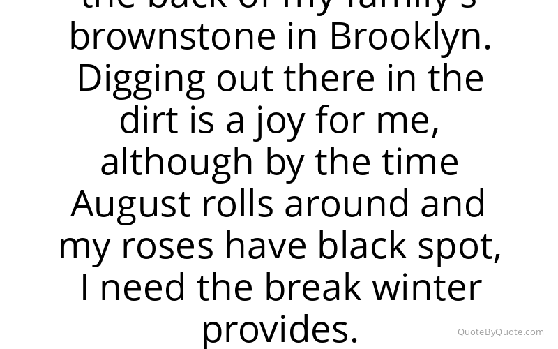 Preview image for this quote by Siri Hustvedt